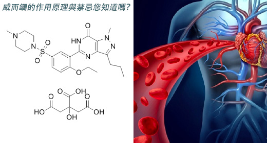 威而鋼的作用原理與禁忌您知道嗎？