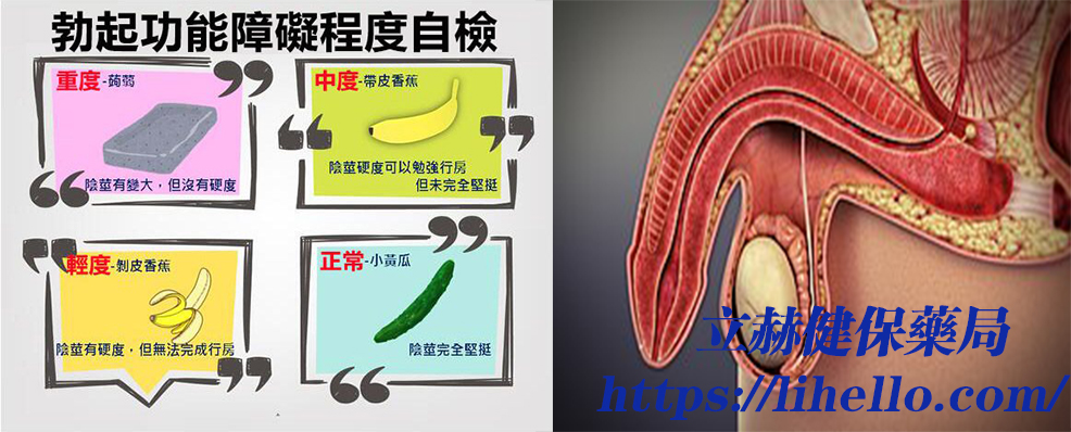 賽倍達效果